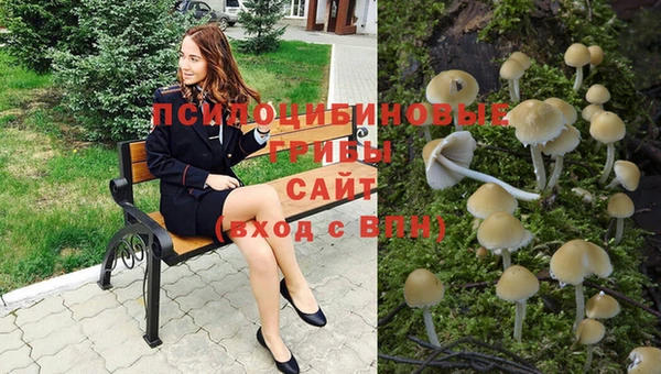 наркотики Тавда