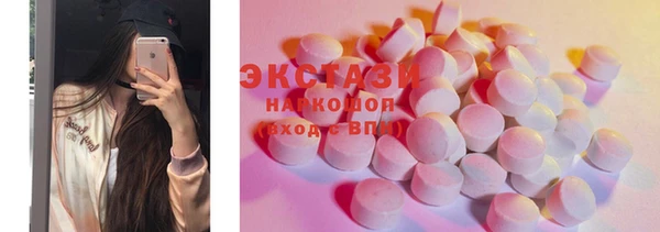 СК Тайга