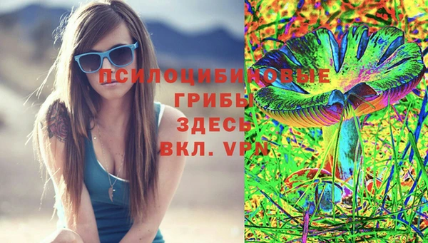 МДПВ Рыльск