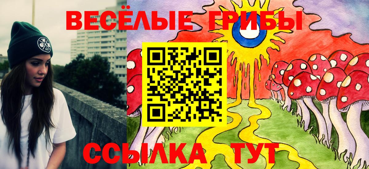 Сыктывкар  Псилоцибиновые грибы Magic Shrooms  Вход с VPN 