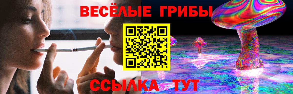 Галлюциногенные грибы мухоморы  Сыктывкар 